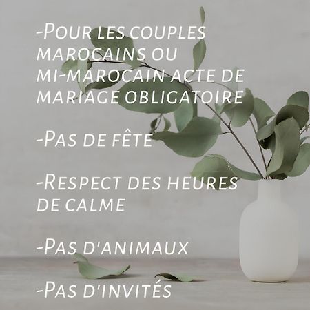 Yacout Appartement Majorelle مراكش المظهر الخارجي الصورة